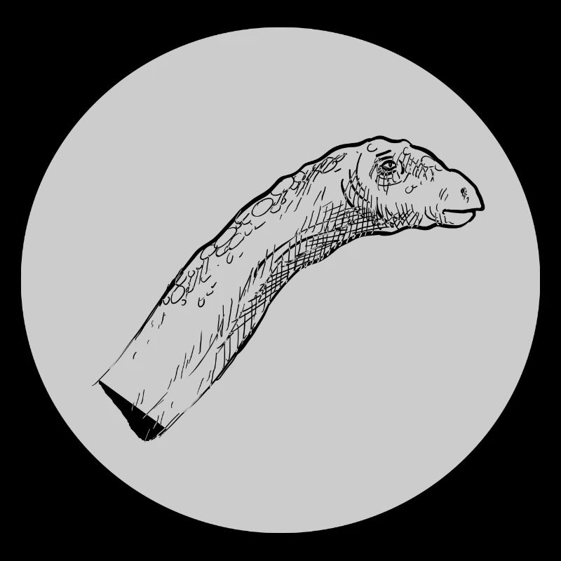 Langhals Dino Dinosaurier Saurier