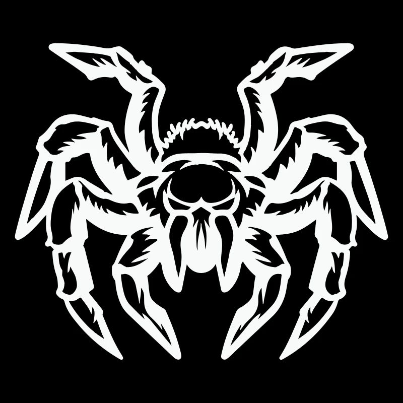 spinne