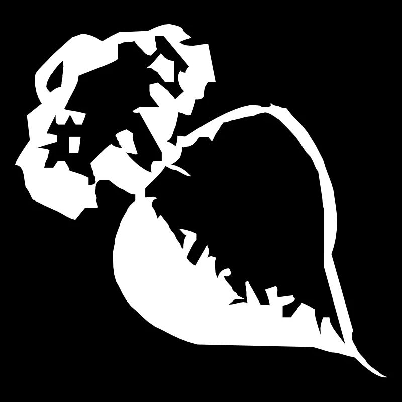 Tubercule de radis