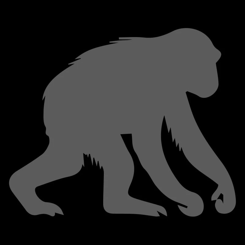 monkey