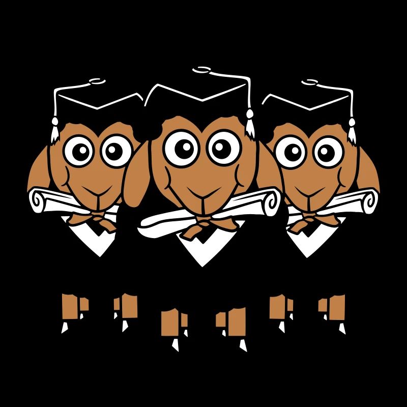 3 Sheep Certificate College Abi Three Students Team