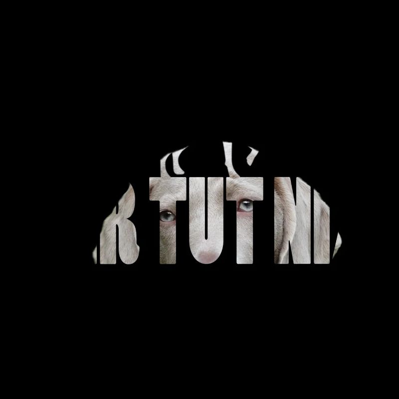 DER TUT NIX