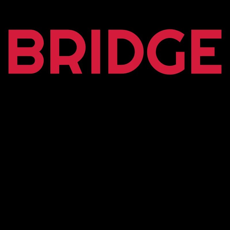 bridge / bridgeur / bridgeuse / cartes
