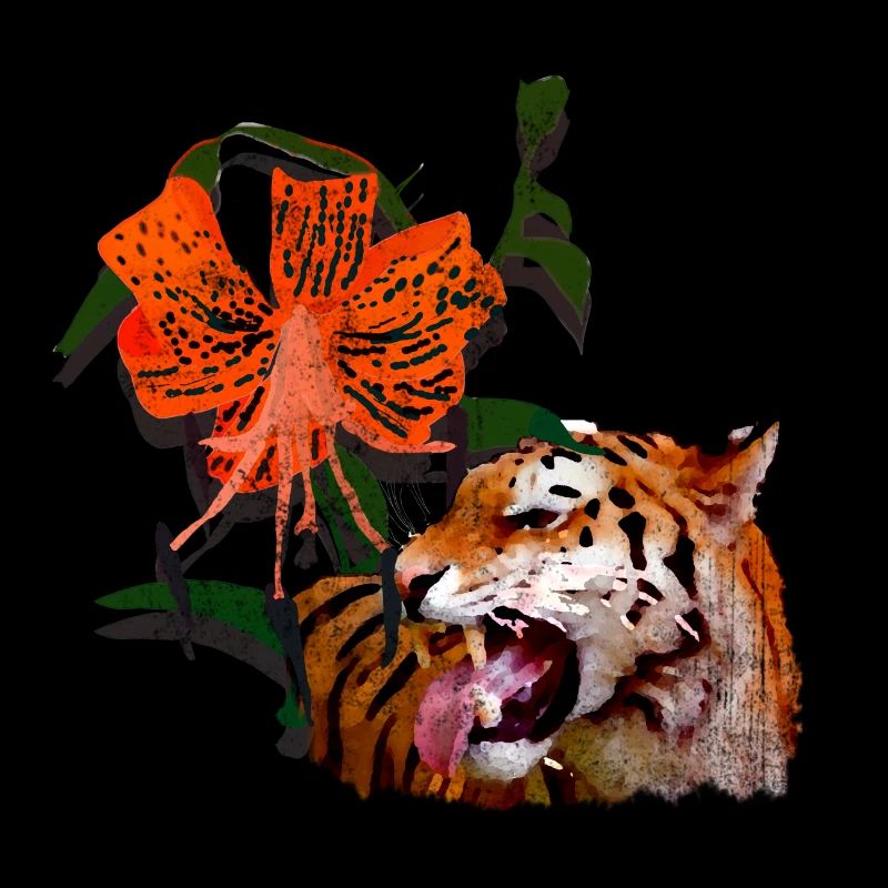 Lys tigre