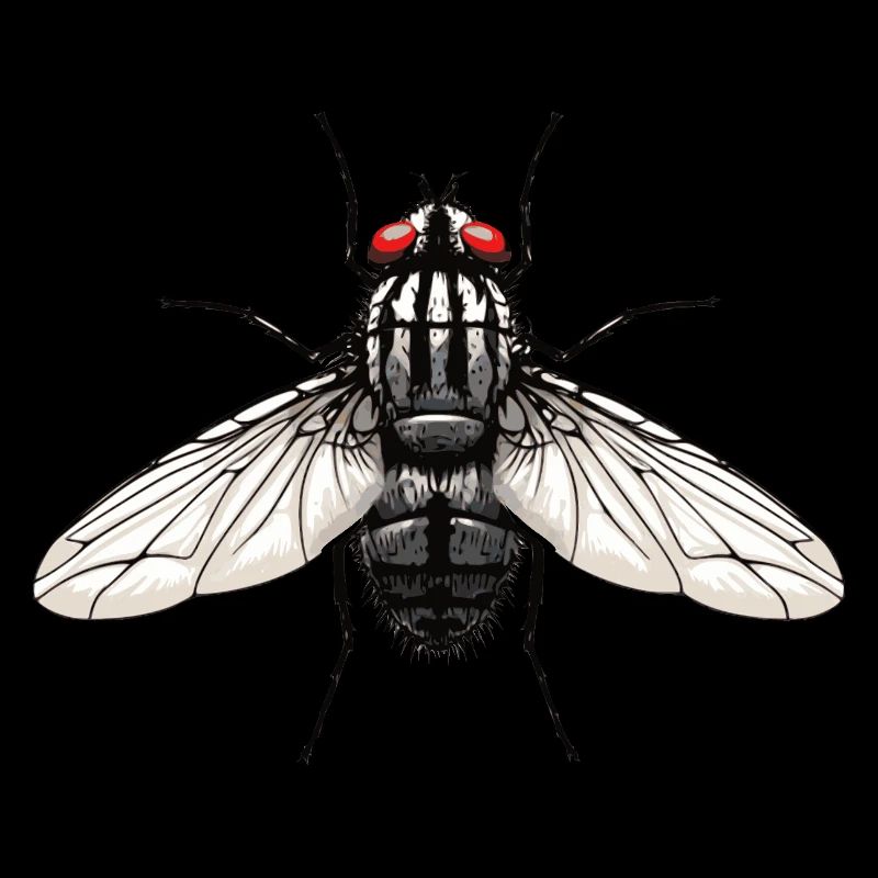 Fliege
