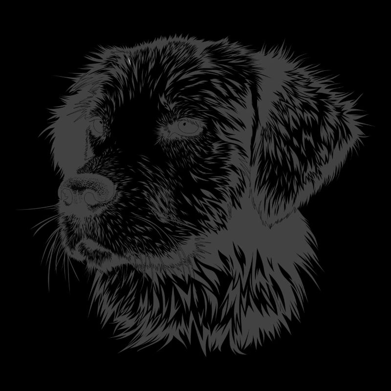 süßer Hund mit grauem, längerem Fell