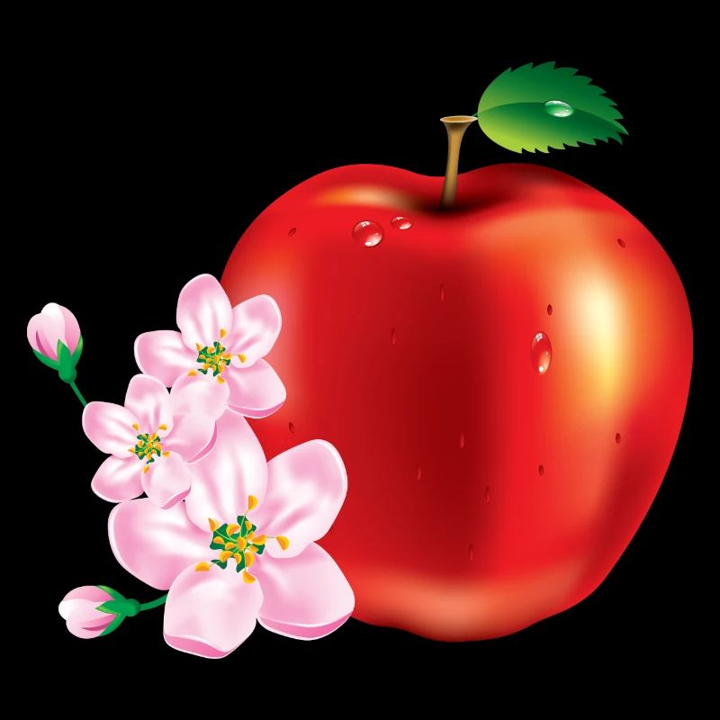 Apple avec la conception de la fleur de cerisier