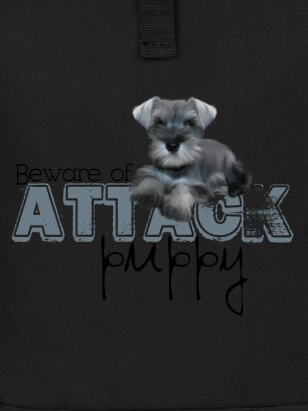 Schnauzer Attack