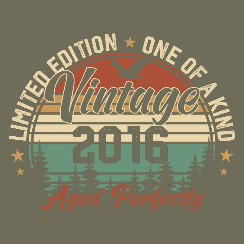 Vintage 2016 Retro 2016 Birthday Gift 2016