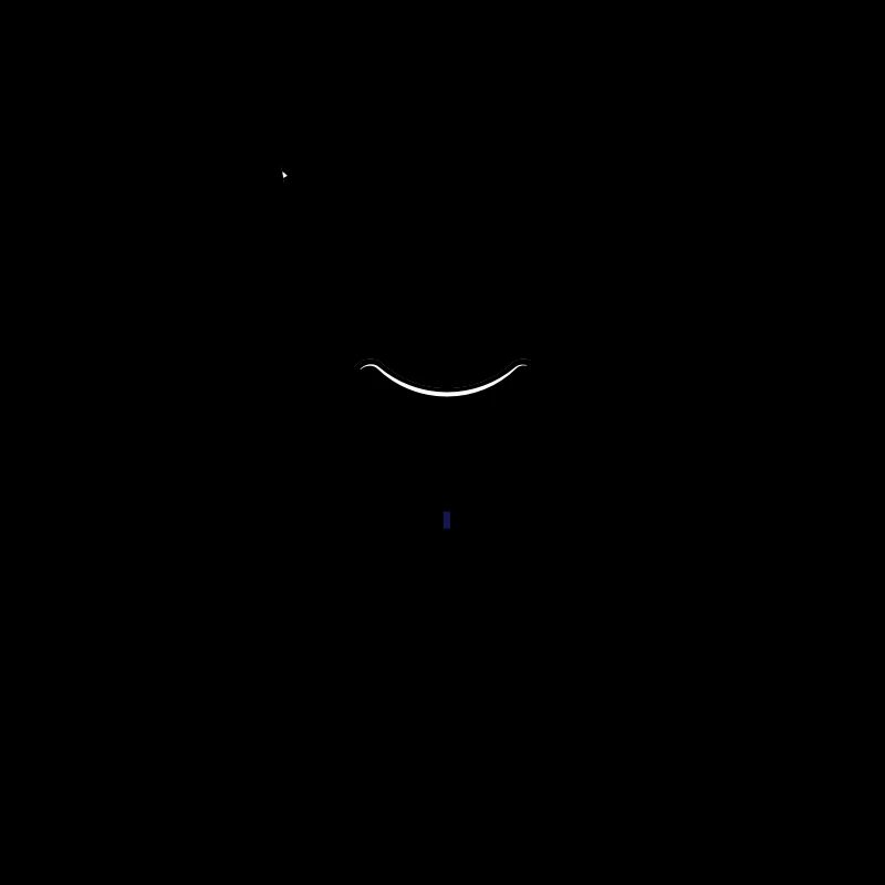 LE ROI DE LA MERGUEZ