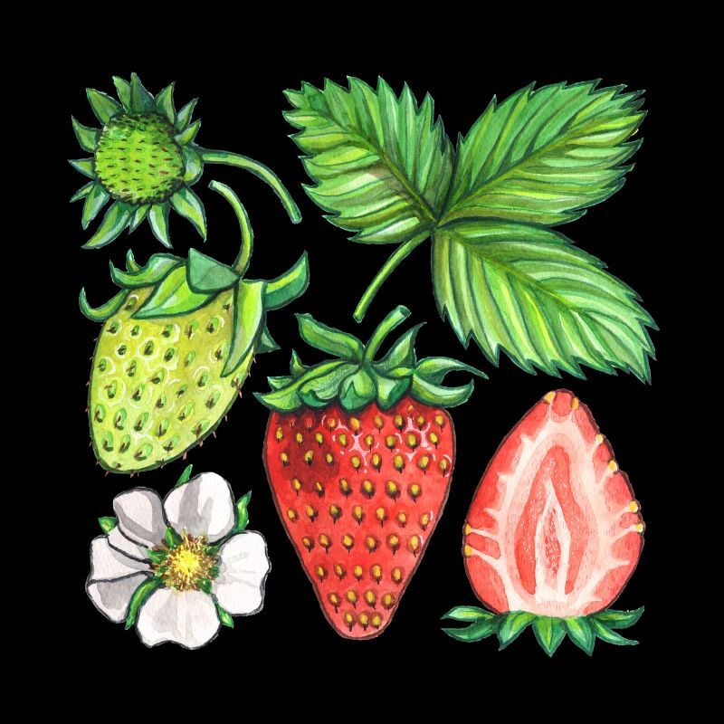 Strawberries