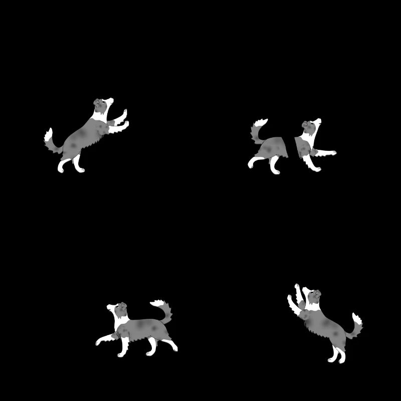 Four images pixels dog dancing Border Collie