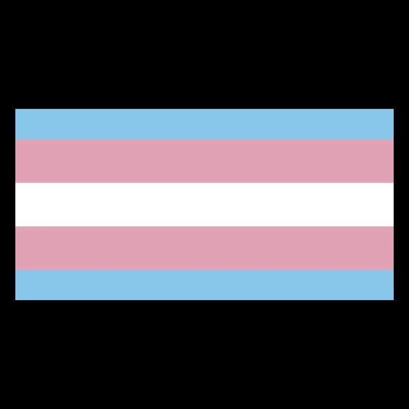 Fierté trans