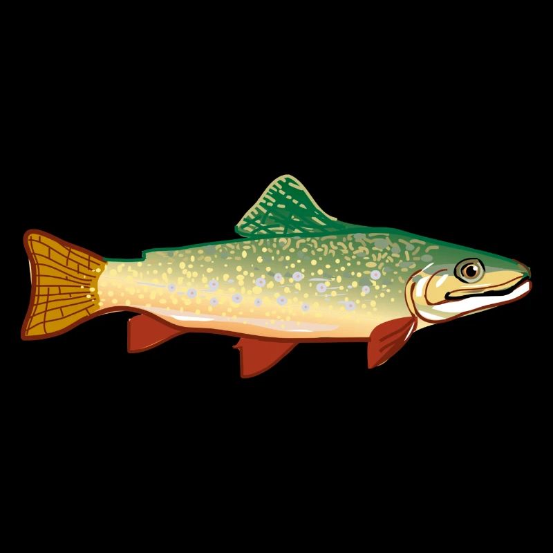 fish524