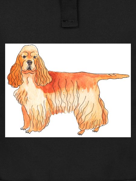American CockerSpaniel sticker