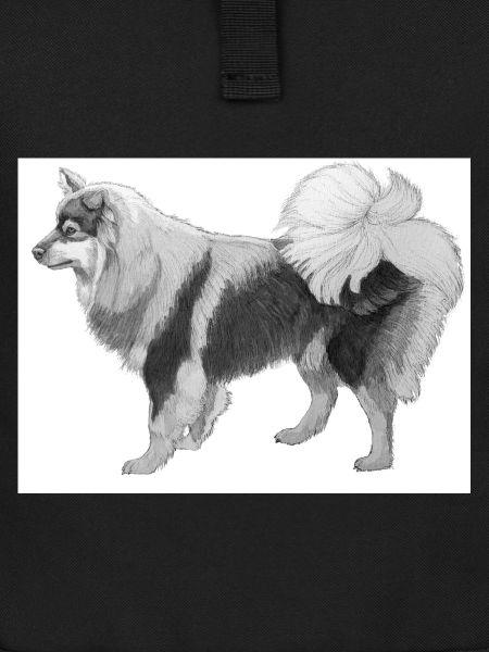 Finnish Lapphund sticker