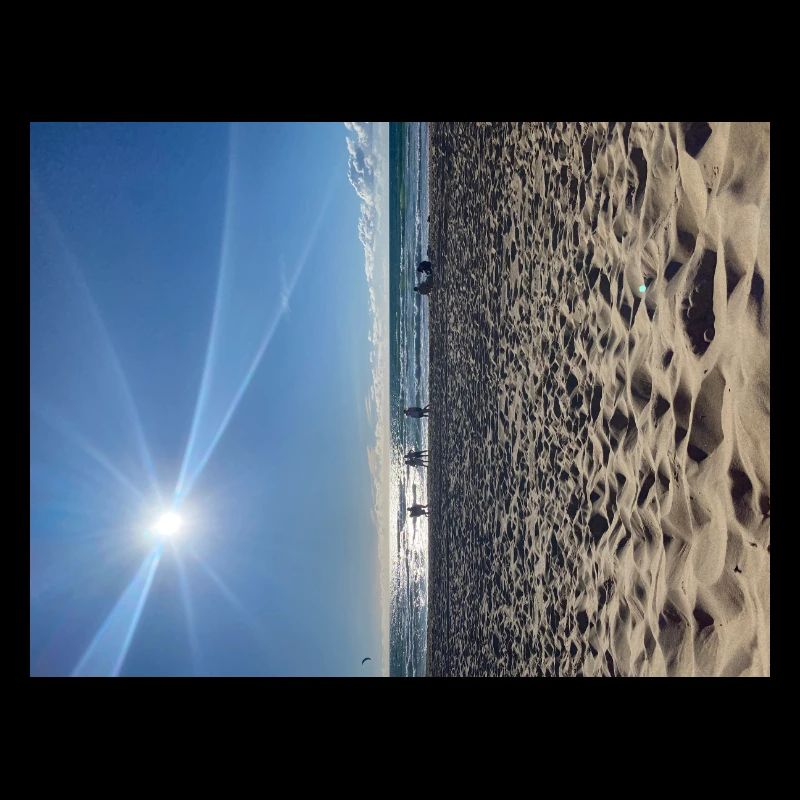 Sunshine&Ocean