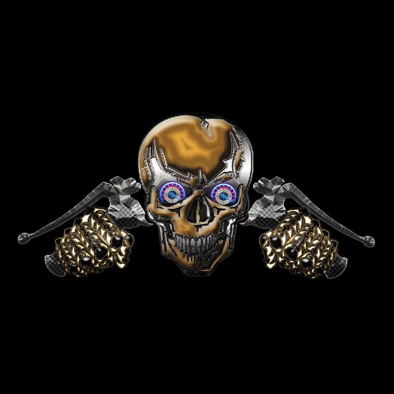 Counter Skull Biker