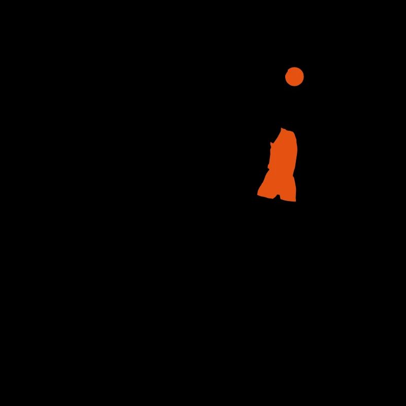 evolution_basketball_072011_d_2c