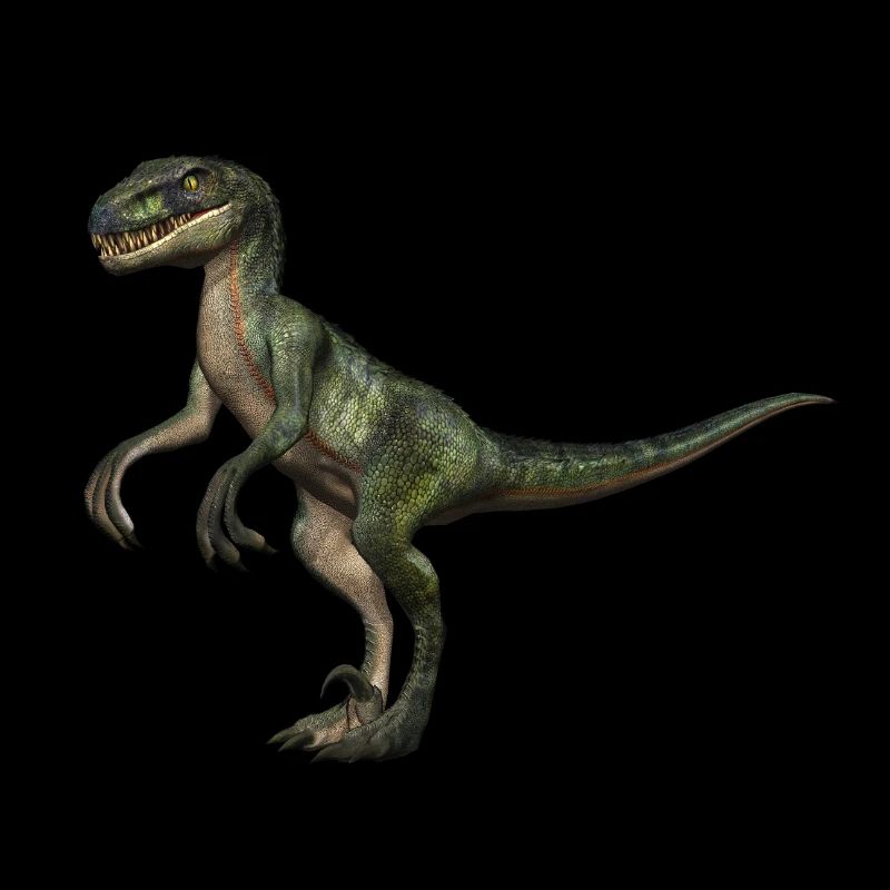 Velociraptor dinosaurs 5