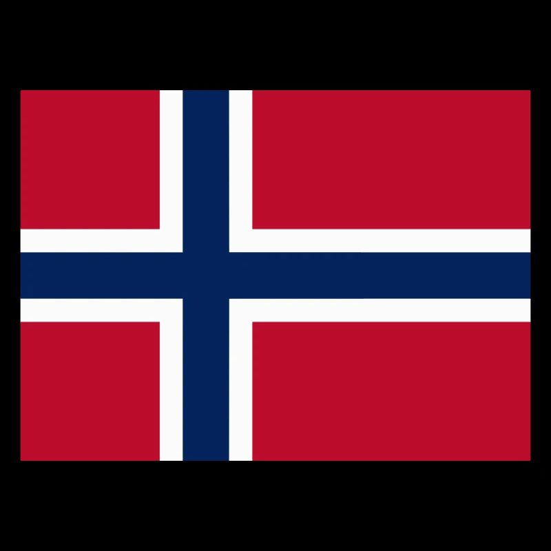 Norway flag