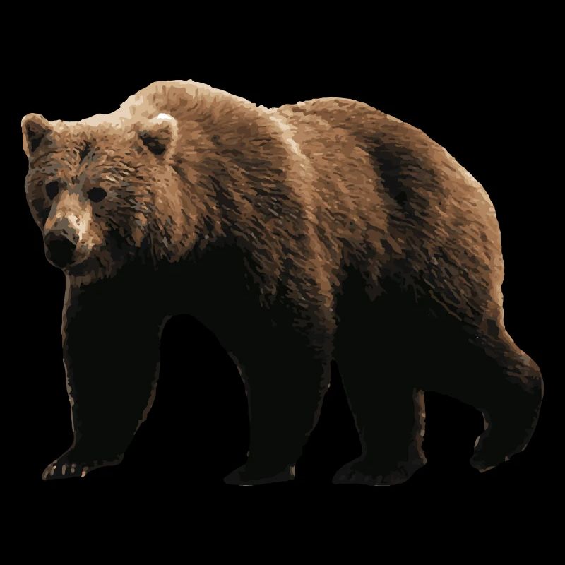 brown bear