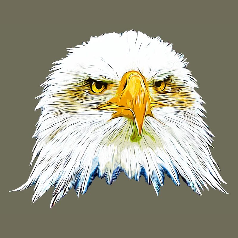 gxp eagle bald eagle vector art