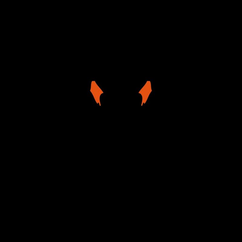 Schädel eines Bullen