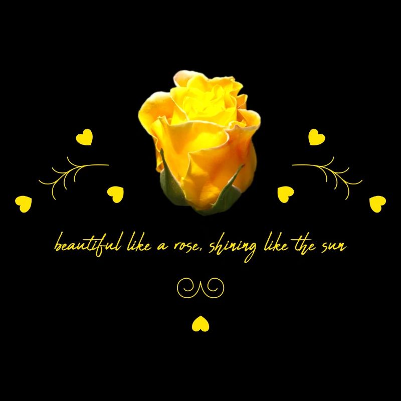 beautiful rose
