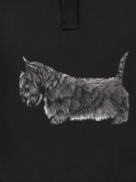 Scottish Terrier UB
