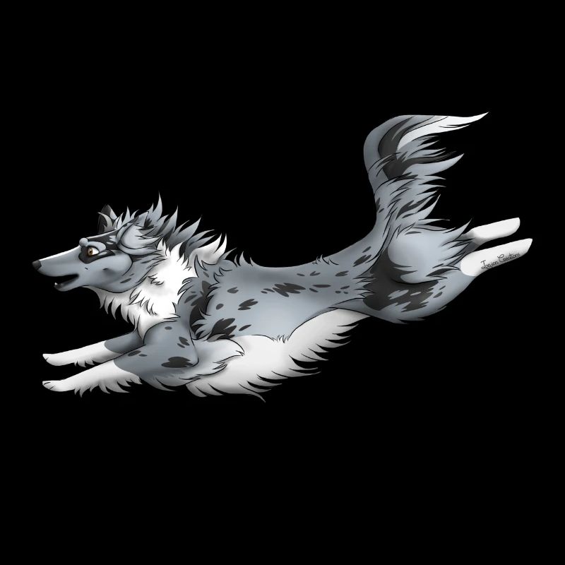Berger Shetland Bleu Merle
