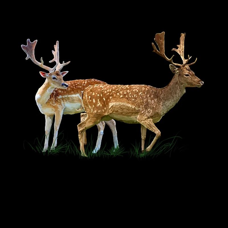 deer