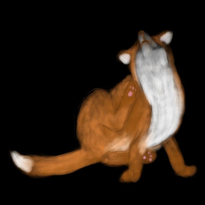 Scratching fox cute animal drawing