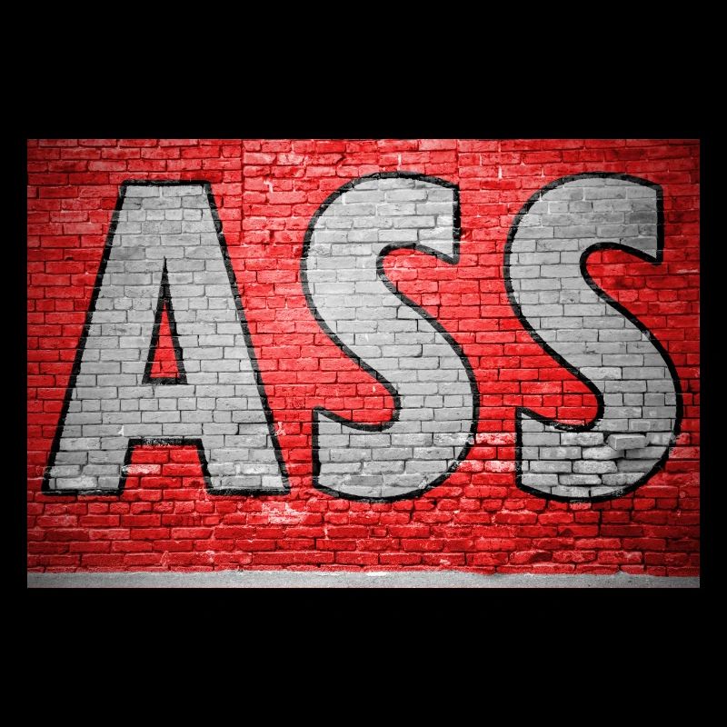Ass (in german Arsch) lettering saying Graffiti