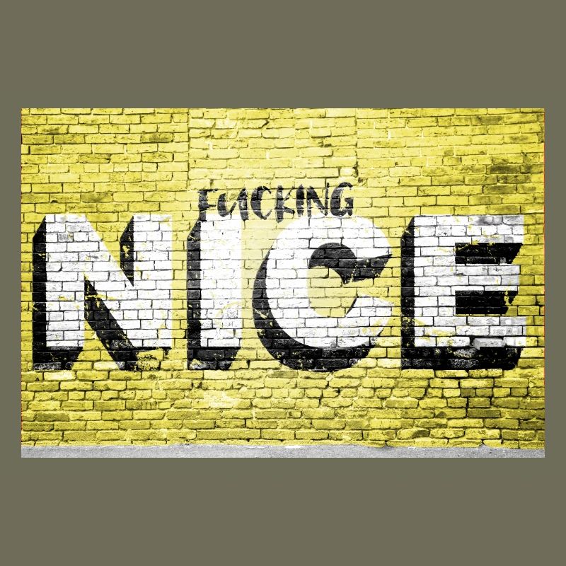 Fucking nice saying lettering Graffiti on Brick