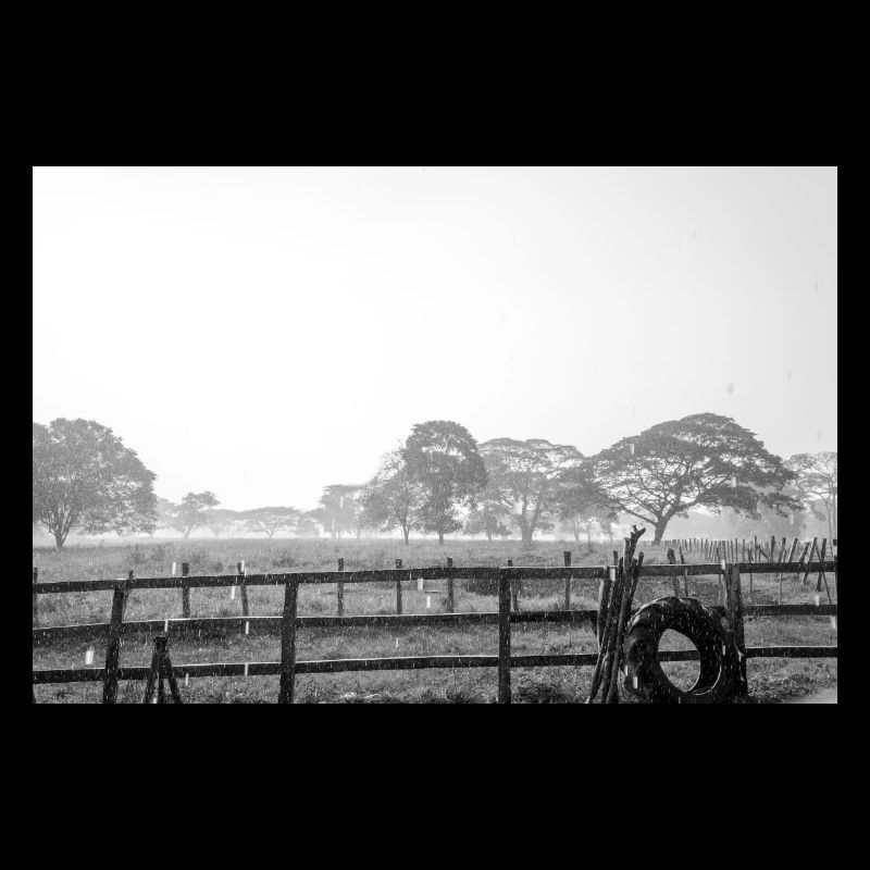 sous la pluie