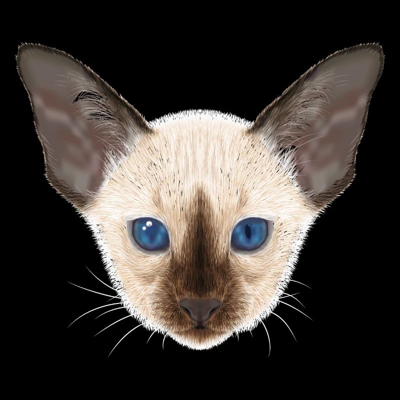 Chat siamois