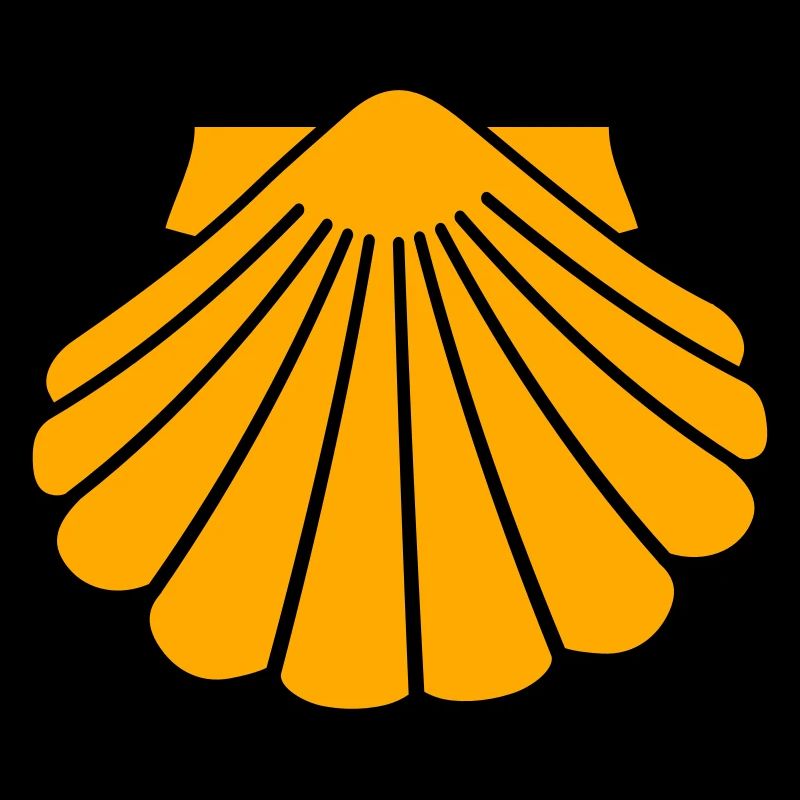 Jakobsmuschel