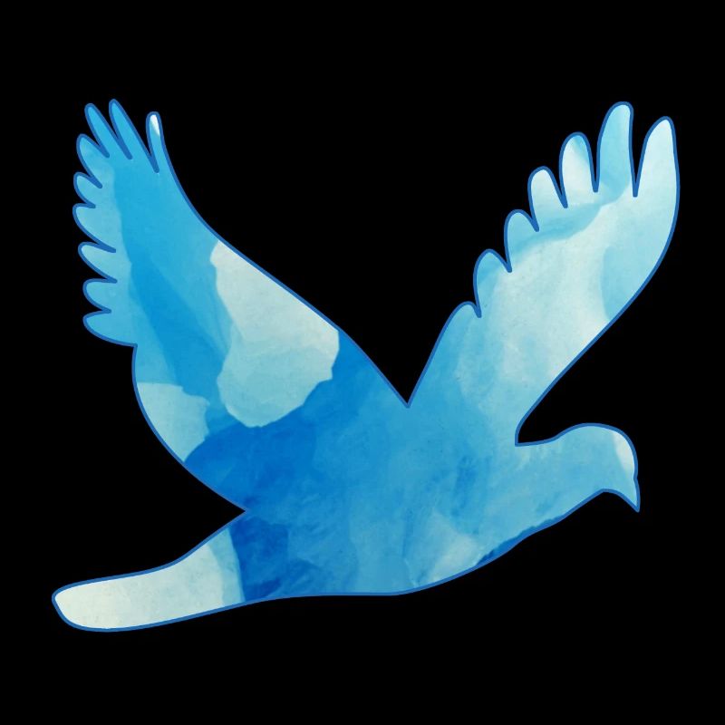 Dove flying / pigeon