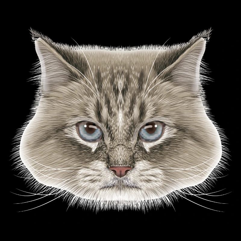Siberian Cat