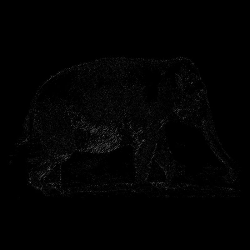 elefant