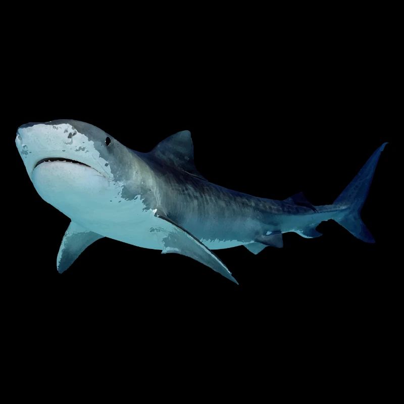 Requin