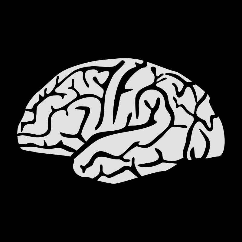 Brain