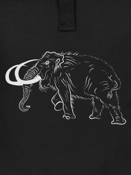 Mammut