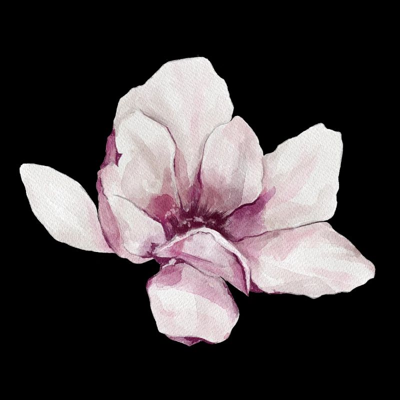 Magnolia