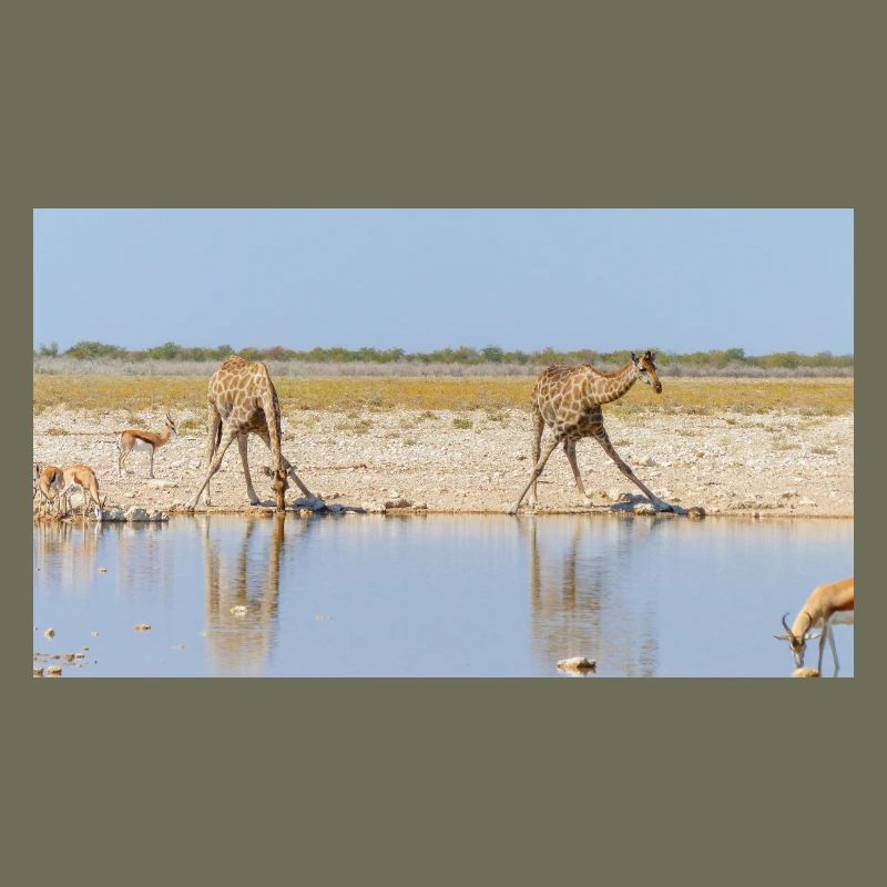Landschaft am Fluss Cubango mit Giraffe