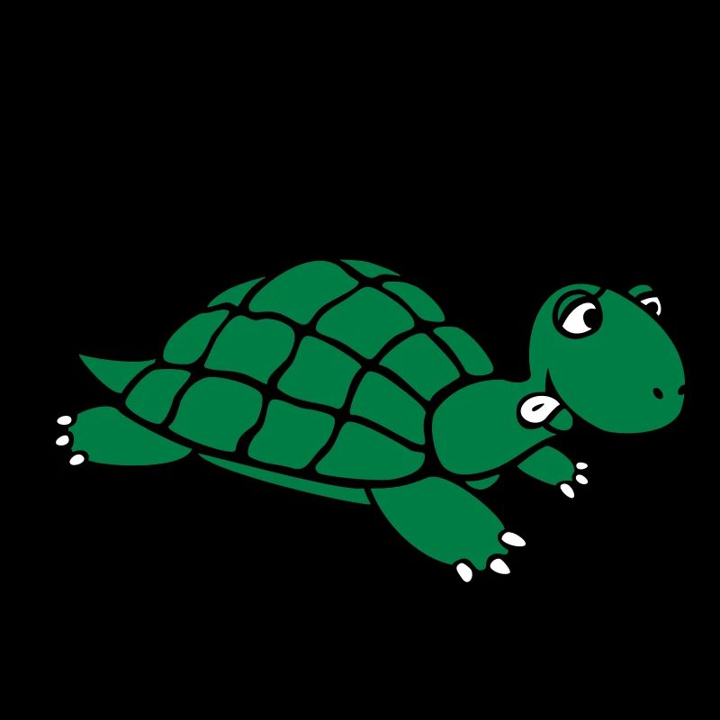 Schildkröte lauf!