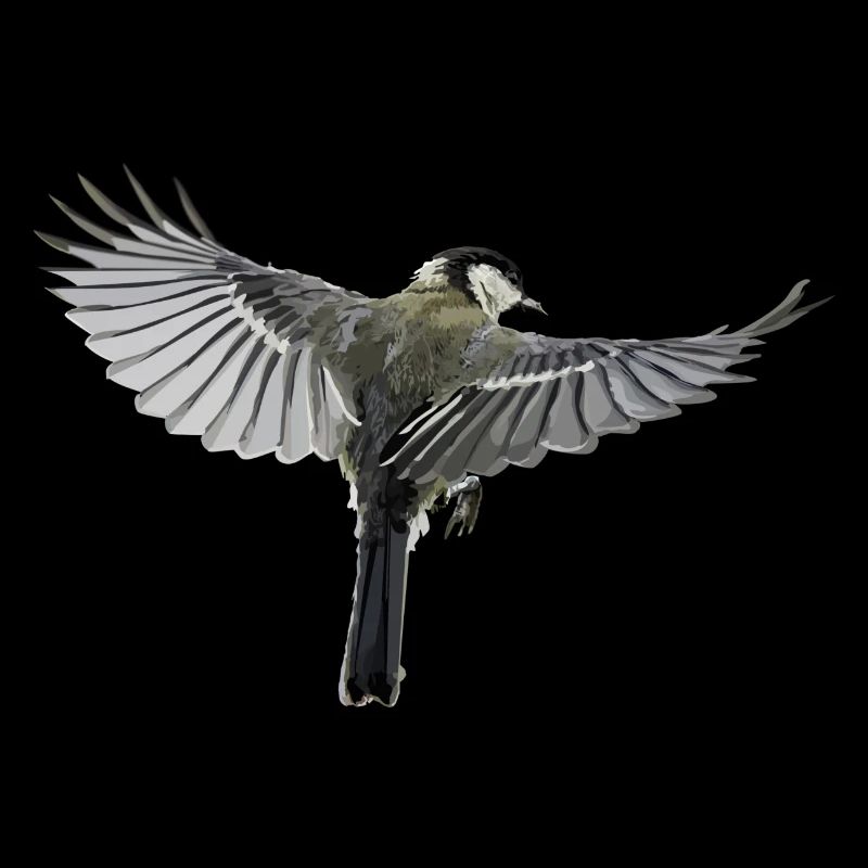 Flying bird in freedom