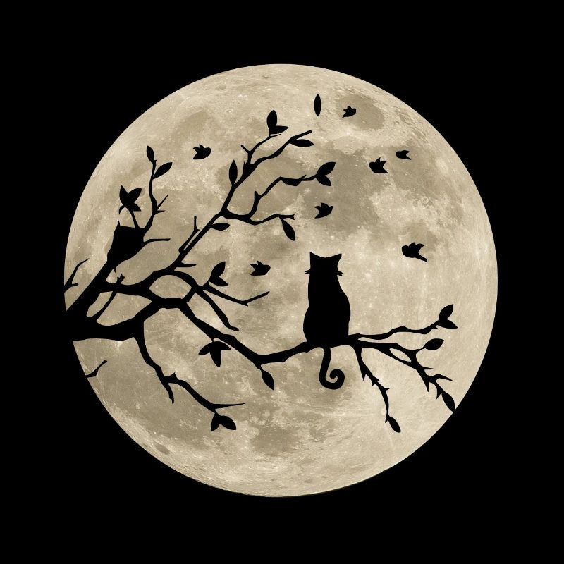 Chat sur une branche au clair de lune