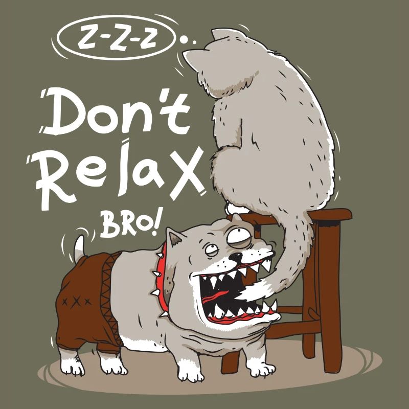 Dog eggs sleeping cat